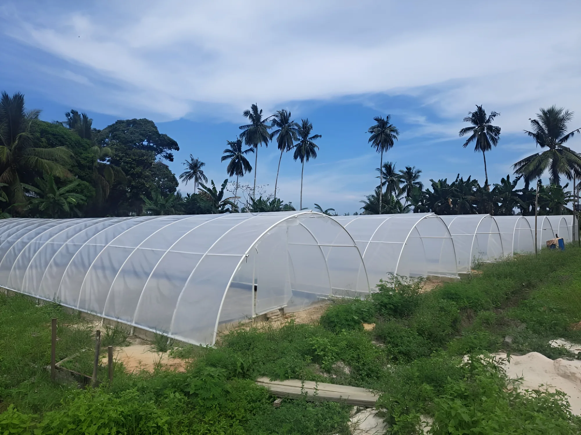 Foto: Rumah garam tunnel yang dibangun menggunakan plastik dan pipa di Desa Kersik, Kecamatan Marangkayu, Kabupaten Kutai Kartanegara.