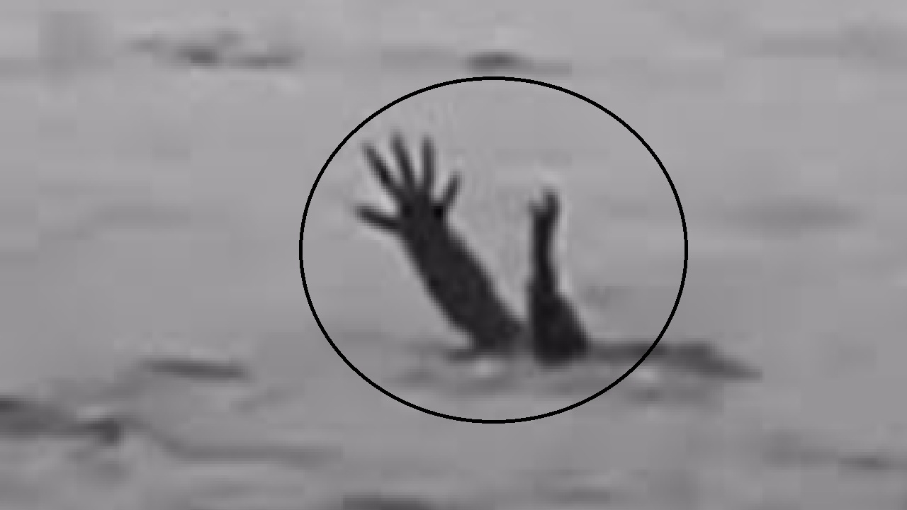 Foto: Tangkapan layar dari video yang menunjukkan buaya pura-pura tenggelam.