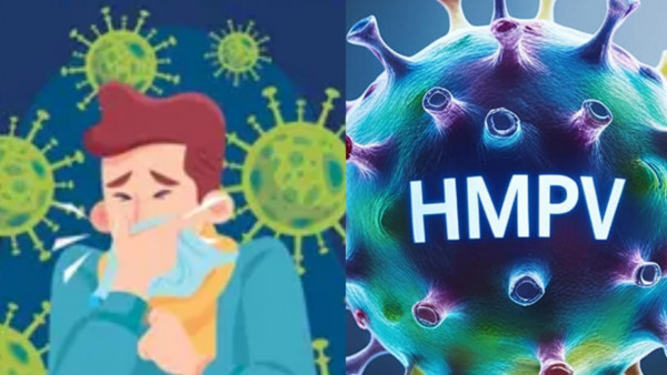 Ilustrasi Virus HMPV.