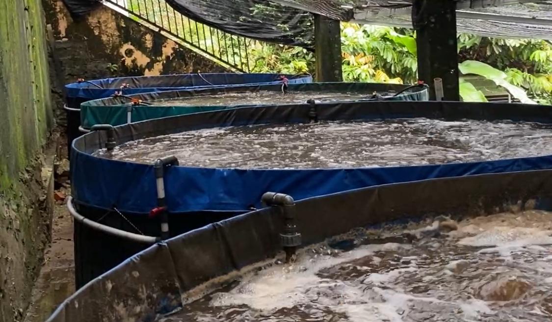 Foto : Kolam Bioflok dalam Budidaya Perikanan.